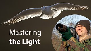 Bird Photography on Christmas Day - Making an Everyday Subject SPECIAL (Canon 1DX & EF 400mm F/5.6) Bird Photography on Christmas Day - Making an Everyday Subject SPECIAL (Canon 1DX & EF 400mm F/5.6)