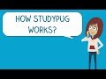 Study Pug Math Learning Quiz