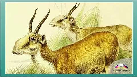 Grade 8 Module 1 "The steppe: A golden treasure"