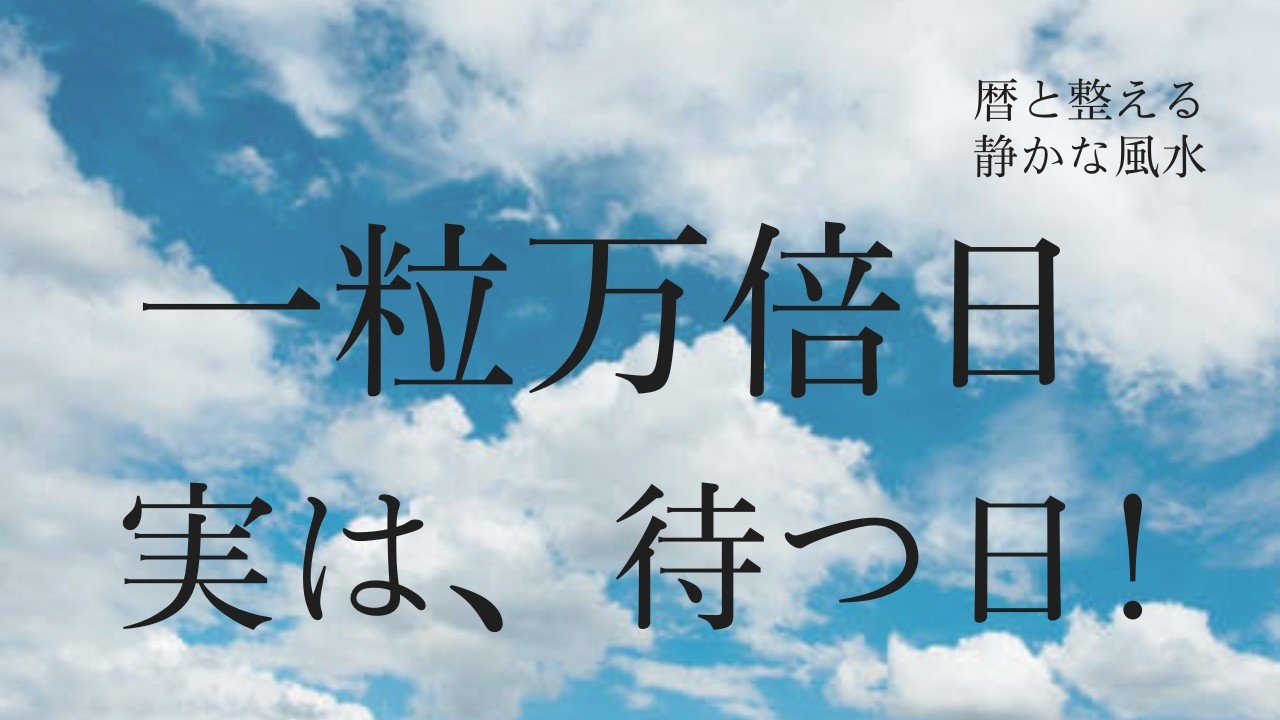 一粒万倍日｜実は動かない方がいい金運風水！
