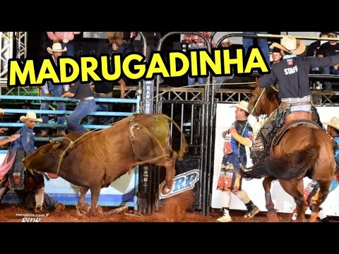 MADRUGADINHA O LAÇADOR DE ARENA! OU MELHOR SALVA VIDAS DE ARENA!!