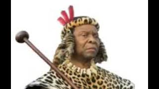 Izibongo SeNkosi uZwelithini Zulu