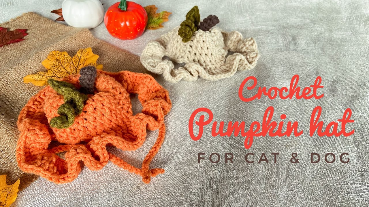 Crochet Pumpkin Hat For Cats and Dogs 🎃