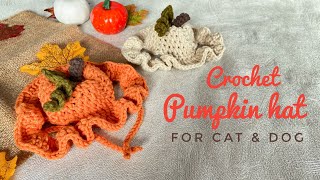 Crochet Pumpkin Hat For Cats and Dogs 🎃 | Spooky Season Edition 🎃