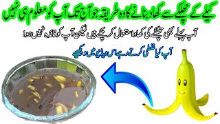 The method of making fertilizer from banana peel which you don't know till today