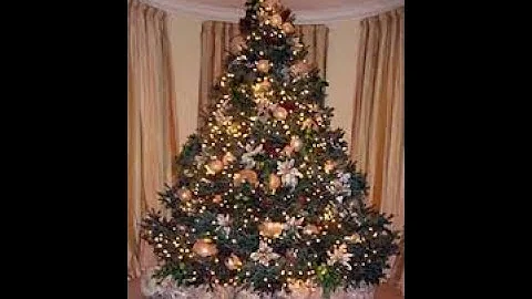 Why Jews do not use Christmas trees nor "Chanukkah Bush"?