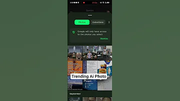 Gemini Ai Photo Tutorial 