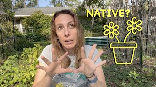 10+ Native Plants You Can Easily Grow in Pots