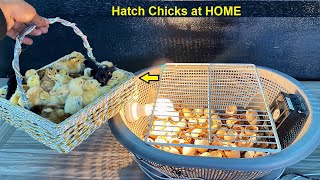 How to hatch Chicks at Home by using Plastic Basket - Egg incubator