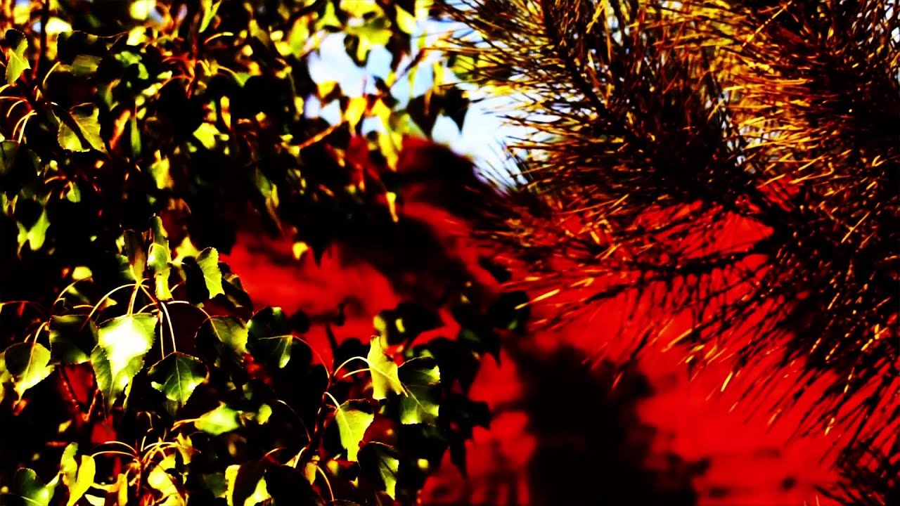 HAROLD MARTINEZ : Faith Healer (Clip officiel)