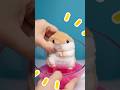 Poor Hammy! 🐹 Sticky Glitter Sensory Slime Pink Party With Little Angel Toy Play #kids #shorts #fun