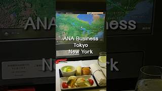 ✈️ ANA Business Class｜Tokyo｜New York