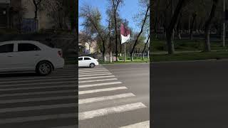 Ташкент.Где светофор для пешеходов?