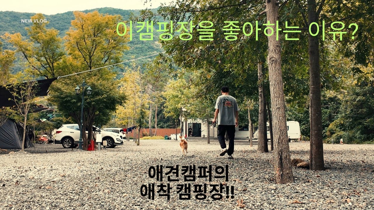 애견 캠퍼의 애착캠핑장 소개.자주가는데 왜 안질려? 캠핑.애견캠핑.운주캠핑장.캠핑텐트.캠핑음식 