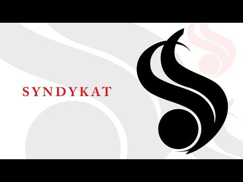 Syndykator