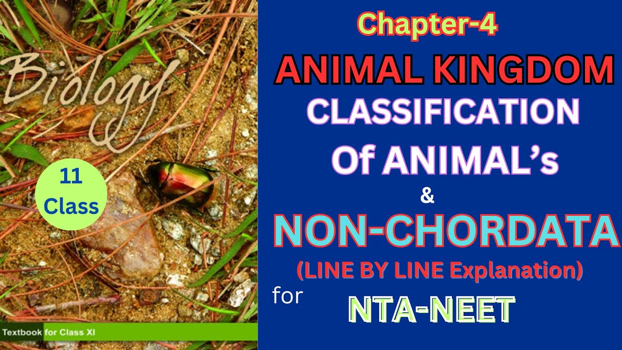 class-11-animal-kingdom-non-chordates-ncertbiology-harun-biozone