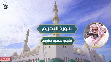 سورة التحريم الشيخ/ سعود الشريم | Surat Al-Tahrim Sheikh Saud Al-Shuraim