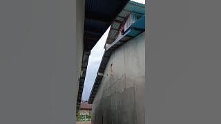 respon walet sp 50 juta