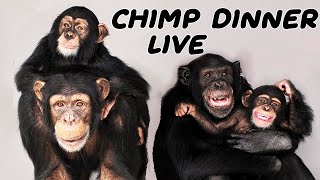 The one and ONlY Chimp Dinner Live.