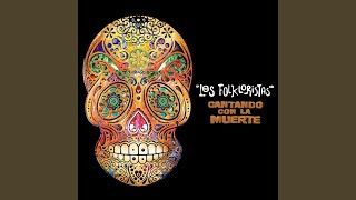 Video thumbnail of "Los Folkloristas - El Huerfanito (Son Huasteco) (México)"