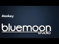 Monkey musicbluemoon studio