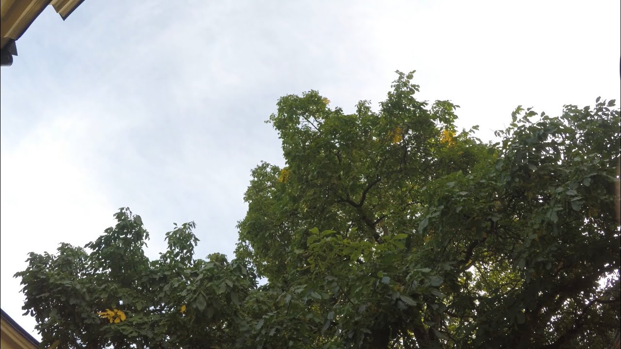 A Calming short vlog // No voiceover// 10.25