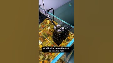 Máy hút váng dầu và rác trên mặt nước bể cá giúp nước trong cá luôn khỏe #aquarium #youtubeshorts