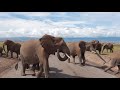 Amboseli National Park Safari - KENYA 2019