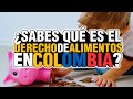 🛑  Derecho De Alimentos En COLOMBIA ✔️