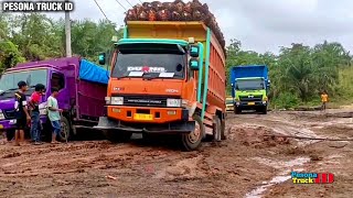 Download Lagu Ada Yang Janggal ‼️ Ketika Truk Batubara Parkir Manis, Truk Sawit Berjuang Melawan Lintasan Extreme MP3