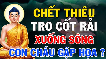 TRO CỐT NGƯỜI THÂN SAU KHI HỎA TÁNG RẢI XUỐNG SÔNG CON CHÁU CÓ GẶP HỌA? CÂU TRẢ LỜI RÚNG ĐỘNG!