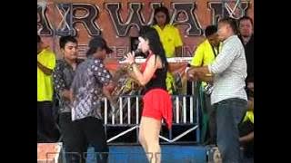 dagang kangkung arwana