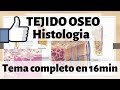 TEJIDO ÓSEO Histologia : hueso esponjoso y compacto MEJOR EXPLICADO