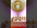 DivineUK:Mary &amp; Joseph offered a pair of Turtle doves as they were unable to offer a sheep