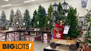 BIG LOTS CHRISTMAS TREES CHRISTMAS DECORATIONS ORNAMENTS SHOP WITH ME SHOPPING STORE WALK THROUGH
