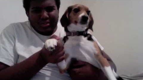 DISNEY COLLEGE PROGRAM FALL 2012 VLOG #3 DISNEY BUCKET LIST