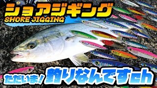 【復活】ショアジギング「堤防からブリを釣りたくて…」ゼスタ・ランウェイVR & アフターバーナー