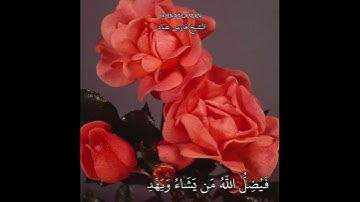 تلاوه خاشعه الشيخ فارس عباد من سورة إبراهيم حالات واتساب