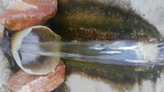 Çeşmenin Müthiş Akışı