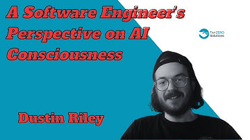 A Software Engineer