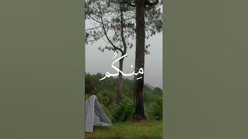 القارئ محمد صديق المنشاوي #اكسبلور #راحة_نفسية #القرآن_الكريم #قرآن #ايات_قرانيه_قصيره #viralvideo