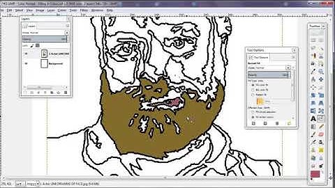 #2   GIMP   Color Portrait   3 Filling Contiguous Areas With Color