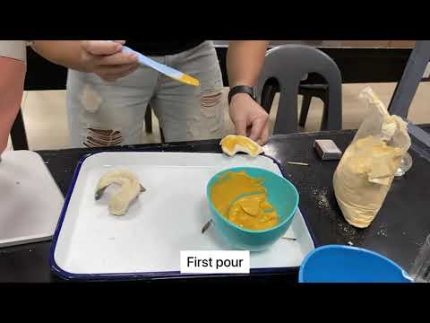 BORDER MOLDING, FINAL IMPRESSION AND MASTER CAST FABRICATION -PROSTHODONTICS 3 (COMPLETE DENTURE)