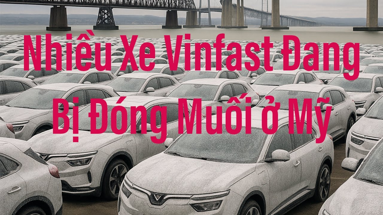 Nhiều Xe Vinfast Đang Bị Đắp Muối ở Mỹ. 