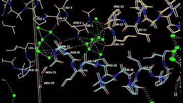 Four complete turns of a curved 310-helix at atomic resolution - 2