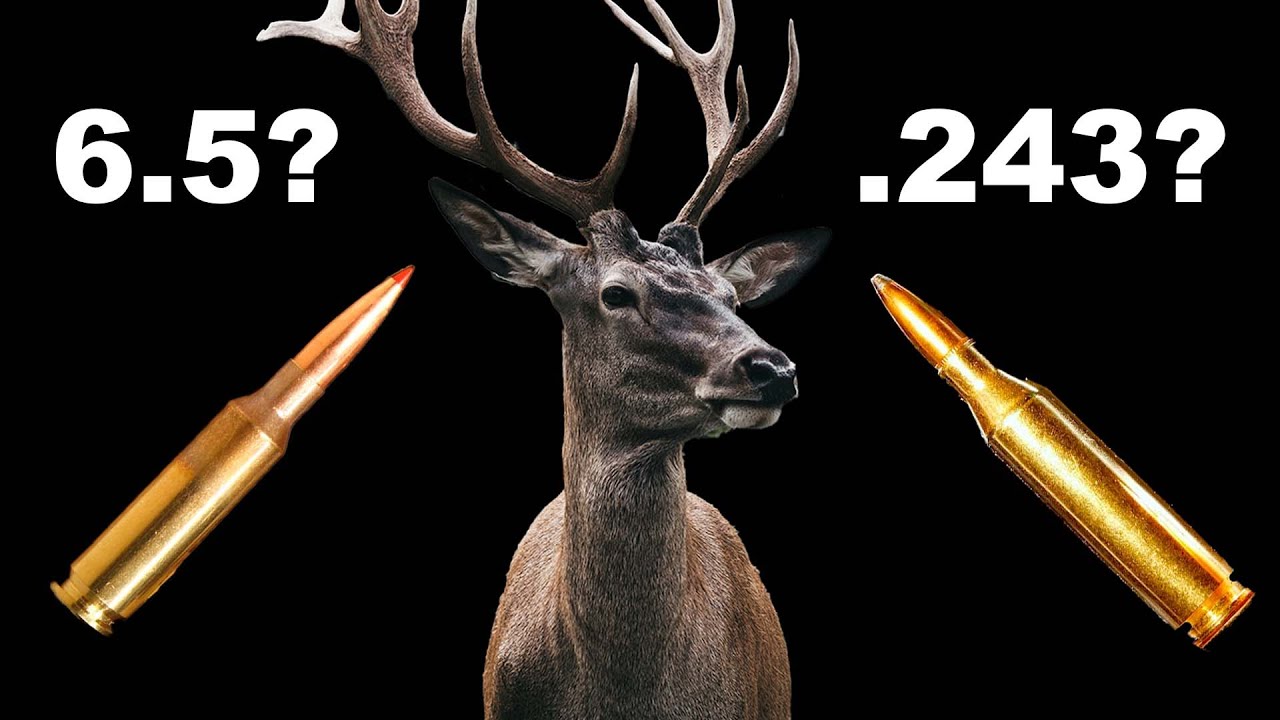 20 Reasons to Shoot 6.5 Creedmoor — Ron Spomer Outdoors