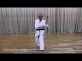 琉球古武道　ヌンチャク型 練習用 反転スロー flipped and thrown  for practice.