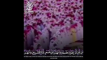 تلاوة جميلة من سورة محمد للشيخ علي جابر
