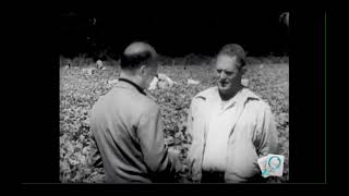 Migrant Students In New Jersey 1960 'Harvest Of Shame'