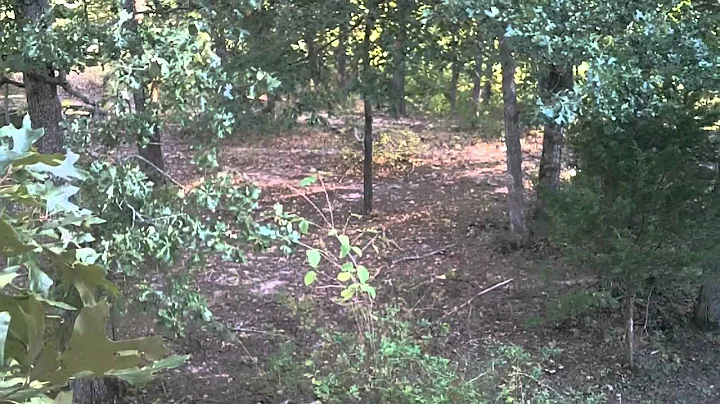 Bollinger County Buck